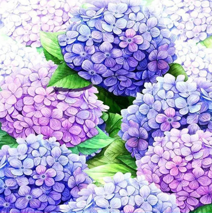 Luminous Hydrangeas - Special Fairy Dust Drill 5D Diamond Painting kit